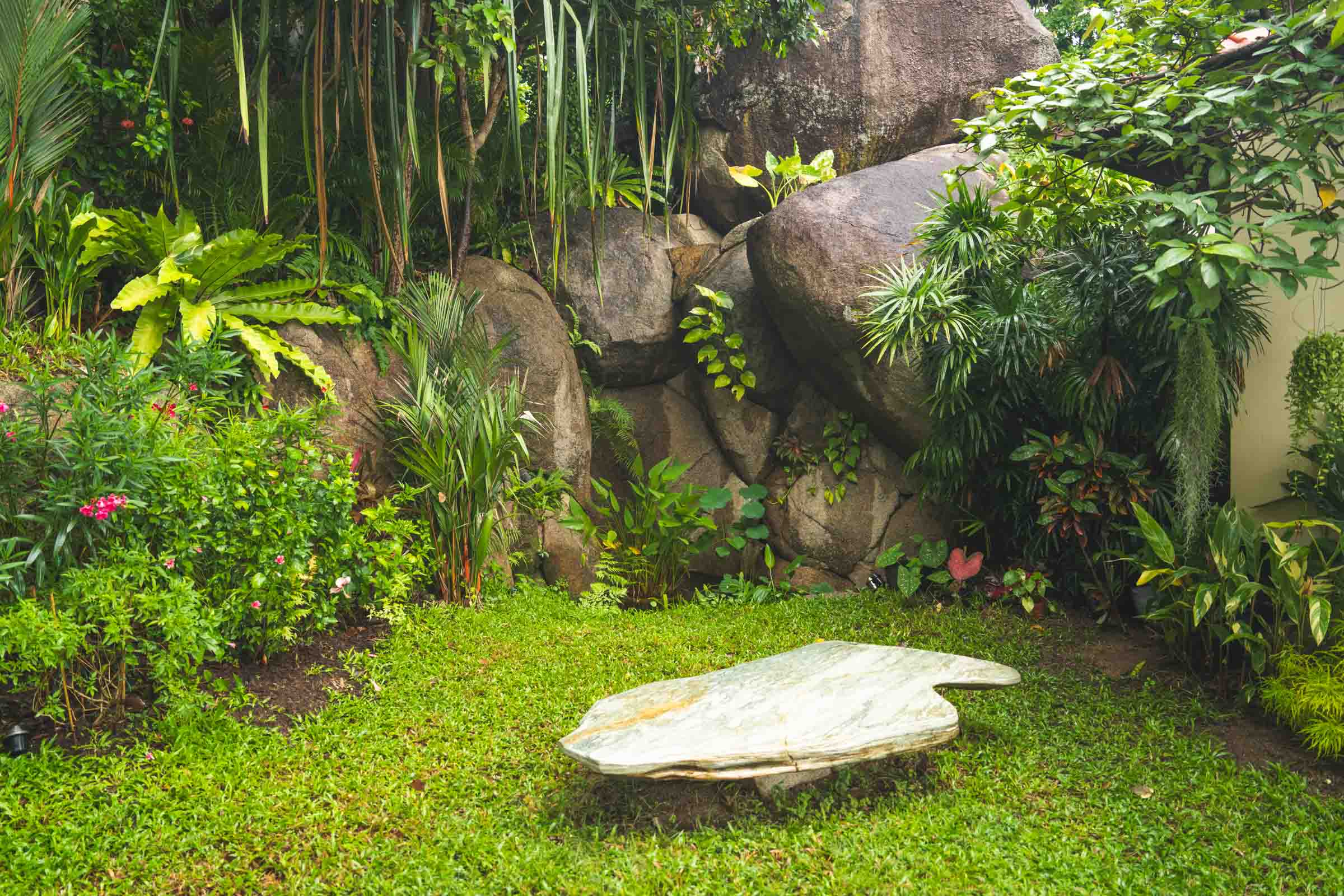 Garden nature